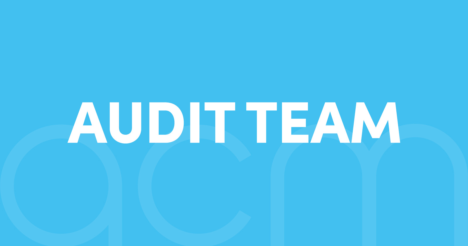Audit team